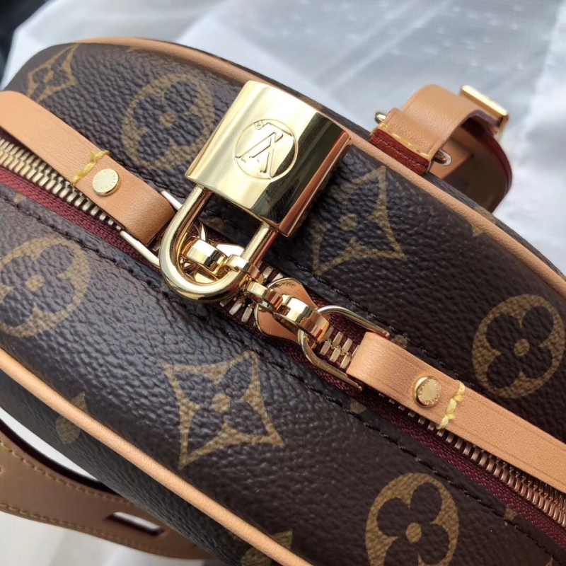 LV Satchel bags